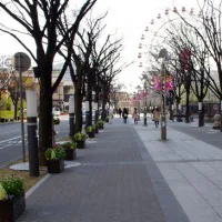 ハーバーランド歩道(神戸市/ピアジェストーン・ムーブネオブネオブラスト透水)
